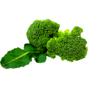 Broccoli
